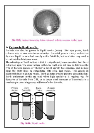  Culture in liquid media:
Bacteria can also be grown in liquid media (broth). Like agar plates, broth
cultures may be non selective or selective. Bacterial growth is easy to detect as
the clear liquid turns turbid, usually within 24–48 hr, but incubation may need to
be extended to 14 days or more.
The advantage of broth culture is that it is significantly more sensitive than direct
culture on agar. The disadvantage is that, by itself, it is not easy to determine the
type of bacteria present or whether a mixed growth has occurred, and in most
cases the broth must be subcultured onto solid agar plates. This causes an
additional delay in culture results. Broth cultures are also prone to contamination
Broth enrichment media are used when high sensitivity is required e.g. for
detection of bacteria from CSF, or to detect small numbers of Salmonella in a
stool sample containing many millions of other bacteria.
 