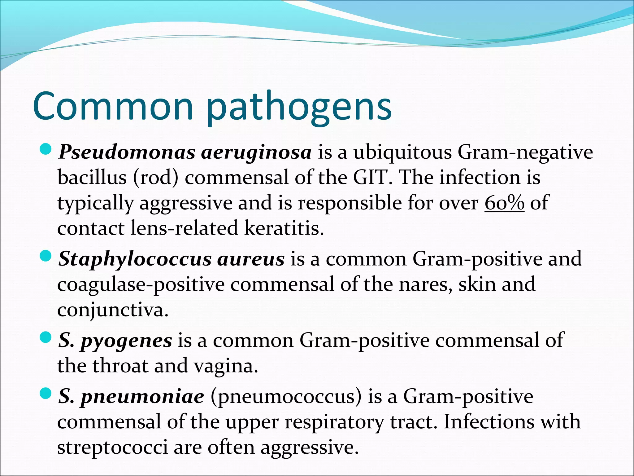Common pathogens
Pseudomonas aeruginosa is a ubiquitous Gram-negative
bacillus (rod) commensal of the GIT. The infection is
typically aggressive and is responsible for over 60% of
contact lens-related keratitis.
Staphylococcus aureus is a common Gram-positive and
coagulase-positive commensal of the nares, skin and
conjunctiva.
S. pyogenes is a common Gram-positive commensal of
the throat and vagina.
S. pneumoniae (pneumococcus) is a Gram-positive
commensal of the upper respiratory tract. Infections with
streptococci are often aggressive.
 