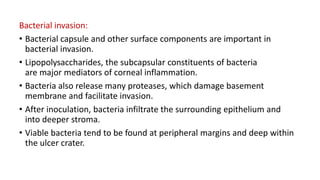 Bacterial invasion:
• Bacterial capsule and other surface components are important in
bacterial invasion.
• Lipopolysaccharides, the subcapsular constituents of bacteria
are major mediators of corneal inflammation.
• Bacteria also release many proteases, which damage basement
membrane and facilitate invasion.
• After inoculation, bacteria infiltrate the surrounding epithelium and
into deeper stroma.
• Viable bacteria tend to be found at peripheral margins and deep within
the ulcer crater.
 