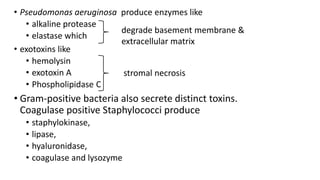 • Pseudomonas aeruginosa produce enzymes like
• alkaline protease
• elastase which
• exotoxins like
• hemolysin
• exotoxin A
• Phospholipidase C
• Gram-positive bacteria also secrete distinct toxins.
Coagulase positive Staphylococci produce
• staphylokinase,
• lipase,
• hyaluronidase,
• coagulase and lysozyme
degrade basement membrane &
extracellular matrix
stromal necrosis
 