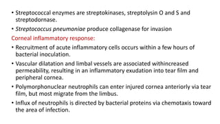 • Streptococcal enzymes are streptokinases, streptolysin O and S and
streptodornase.
• Streptococcus pneumoniae produce collagenase for invasion
Corneal inflammatory response:
• Recruitment of acute inflammatory cells occurs within a few hours of
bacterial inoculation.
• Vascular dilatation and limbal vessels are associated withincreased
permeability, resulting in an inflammatory exudation into tear film and
peripheral cornea.
• Polymorphonuclear neutrophils can enter injured cornea anteriorly via tear
film, but most migrate from the limbus.
• Influx of neutrophils is directed by bacterial proteins via chemotaxis toward
the area of infection.
 