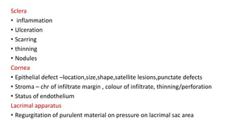 Sclera
• inflammation
• Ulceration
• Scarring
• thinning
• Nodules
Cornea
• Epithelial defect –location,size,shape,satellite lesions,punctate defects
• Stroma – chr of infiltrate margin , colour of infiltrate, thinning/perforation
• Status of endothelium
Lacrimal apparatus
• Regurgitation of purulent material on pressure on lacrimal sac area
 