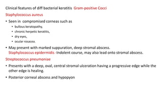 Clinical features of diff bacterial keratitis Gram-positive Cocci
Staphylococcus aureus
• Seen in compromised corneas such as
• bullous keratopathy,
• chronic herpetic keratitis,
• dry eyes,
• ocular rosacea.
• May present with marked suppuration, deep stromal abscess.
Staphylococcus epidermidis -Indolent course, may also lead onto stromal abscess.
Streptococcus pneumoniae
• Presents with a deep, oval, central stromal ulceration having a progressive edge while the
other edge is healing.
• Posterior corneal abscess and hypopyon
 