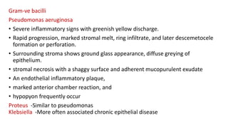Gram-ve bacilli
Pseudomonas aeruginosa
• Severe inflammatory signs with greenish yellow discharge.
• Rapid progression, marked stromal melt, ring infiltrate, and later descemetocele
formation or perforation.
• Surrounding stroma shows ground glass appearance, diffuse greying of
epithelium.
• stromal necrosis with a shaggy surface and adherent mucopurulent exudate
• An endothelial inflammatory plaque,
• marked anterior chamber reaction, and
• hypopyon frequently occur
Proteus -Similar to pseudomonas
Klebsiella -More often associated chronic epithelial disease
 