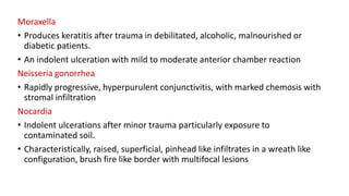 Moraxella
• Produces keratitis after trauma in debilitated, alcoholic, malnourished or
diabetic patients.
• An indolent ulceration with mild to moderate anterior chamber reaction
Neisseria gonorrhea
• Rapidly progressive, hyperpurulent conjunctivitis, with marked chemosis with
stromal infiltration
Nocardia
• Indolent ulcerations after minor trauma particularly exposure to
contaminated soil.
• Characteristically, raised, superficial, pinhead like infiltrates in a wreath like
configuration, brush fire like border with multifocal lesions
 