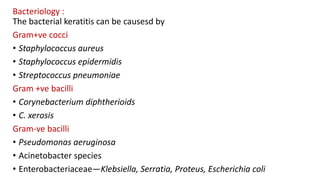 Bacteriology :
The bacterial keratitis can be causesd by
Gram+ve cocci
• Staphylococcus aureus
• Staphylococcus epidermidis
• Streptococcus pneumoniae
Gram +ve bacilli
• Corynebacterium diphtherioids
• C. xerosis
Gram-ve bacilli
• Pseudomonas aeruginosa
• Acinetobacter species
• Enterobacteriaceae—Klebsiella, Serratia, Proteus, Escherichia coli
 