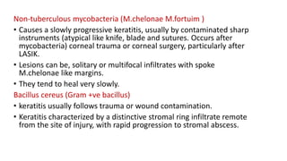 Non-tuberculous mycobacteria (M.chelonae M.fortuim )
• Causes a slowly progressive keratitis, usually by contaminated sharp
instruments (atypical like knife, blade and sutures. Occurs after
mycobacteria) corneal trauma or corneal surgery, particularly after
LASIK.
• Lesions can be, solitary or multifocal infiltrates with spoke
M.chelonae like margins.
• They tend to heal very slowly.
Bacillus cereus (Gram +ve bacillus)
• keratitis usually follows trauma or wound contamination.
• Keratitis characterized by a distinctive stromal ring infiltrate remote
from the site of injury, with rapid progression to stromal abscess.
 