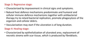 Stage 3: Regressive stage:
• Characterized by improvement in clinical signs and symptoms.
• Natural host defence mechanisms predominate and humoral and
cellular immune defence mechanisms together with antibacterial
therapy try to retard bacterial replication, promote phagocytosis of the
organism and cellular debris.
• Vascularization may start if the ulceration is of long duration.
Stage 4: Healing stage:
• Characterized by epithelialization of ulcerated area, replacement of
necrotic stroma with scar tissue, which is produced by fibroblasts.
 