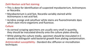 Ziehl-Neelsen acid fast staining:
• This is done for identification of suspected mycobacterium, Actinomyces
or Nocardia.
• Mycobacterium is acid fast, Nocardia variably stained while
Actinomyces is not acid fast.
• Acridine orange and calcofluor white stains are fluorochromatic dyes
which stain micro-organisms and fluoresce.
Culture
• As corneal scraping specimens are usually very small in quantity,
they should be inoculated directly onto the culture plates directly.
• While plating the culture media, specimen should be inoculated in C
streaks to distinguish valid bacterial growth from plating contamination.
Antimicrobial susceptibility - Standard disc diffusion or microdilution
techniques
 