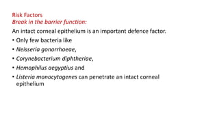 Risk Factors
Break in the barrier function:
An intact corneal epithelium is an important defence factor.
• Only few bacteria like
• Neisseria gonorrhoeae,
• Corynebacterium diphtheriae,
• Hemophilus aegyptius and
• Listeria monocytogenes can penetrate an intact corneal
epithelium
 