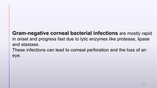 Gram-negative corneal bacterial infections are mostly rapid
in onset and progress fast due to lytic enzymes like protease, lipase
and elastase.
These infections can lead to corneal perforation and the loss of an
eye.
13
 