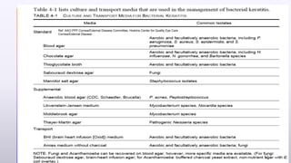 Ref. AAO PPP Cornea/External Disease Committee, Hoskins Center for Quality Eye Care
Cornea/External Disease
21
 