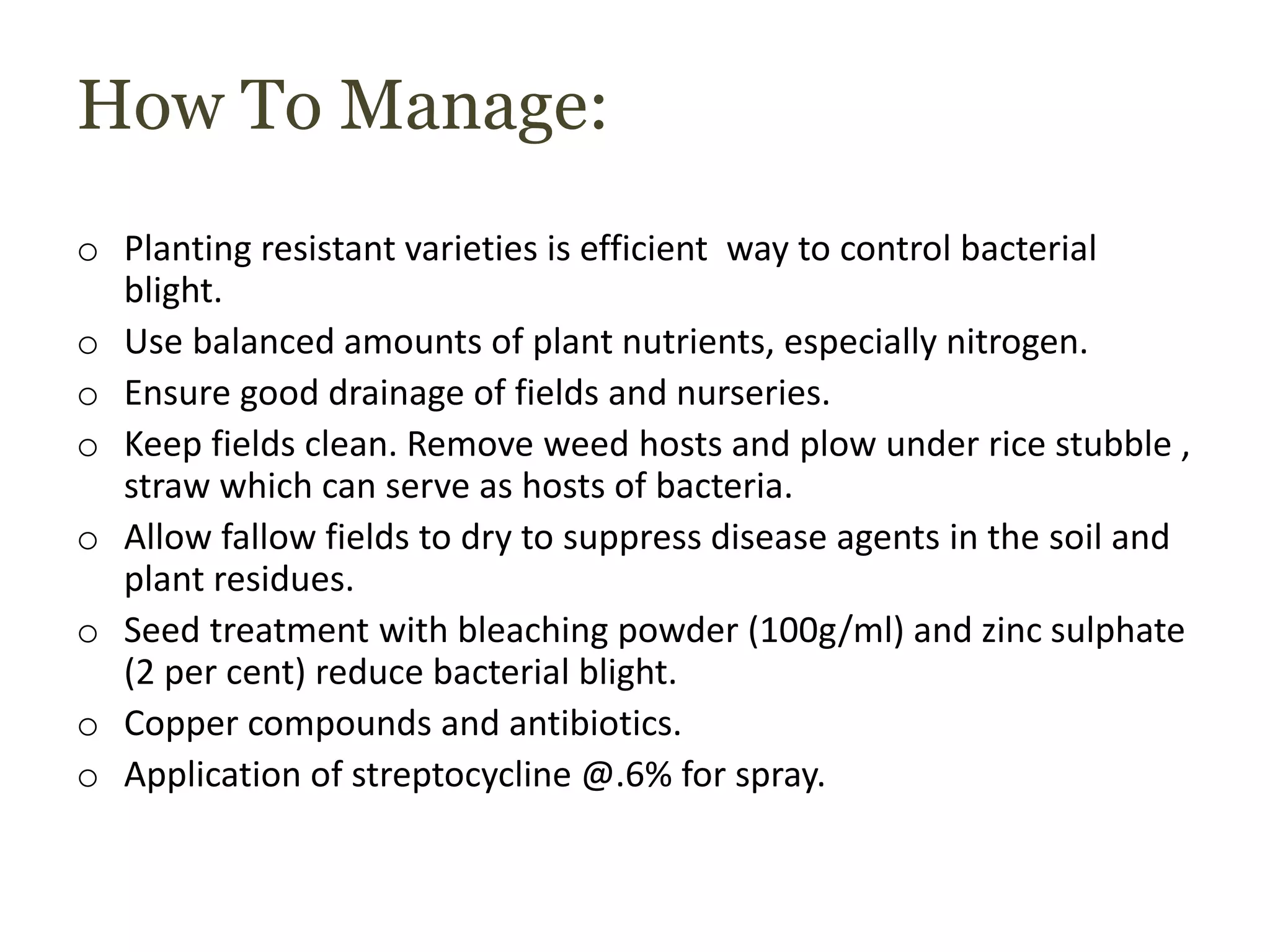 How To Manage:
o Planting resistant varieties is efficient way to control bacterial
blight.
o Use balanced amounts of plant nutrients, especially nitrogen.
o Ensure good drainage of fields and nurseries.
o Keep fields clean. Remove weed hosts and plow under rice stubble ,
straw which can serve as hosts of bacteria.
o Allow fallow fields to dry to suppress disease agents in the soil and
plant residues.
o Seed treatment with bleaching powder (100g/ml) and zinc sulphate
(2 per cent) reduce bacterial blight.
o Copper compounds and antibiotics.
o Application of streptocycline @.6% for spray.
 