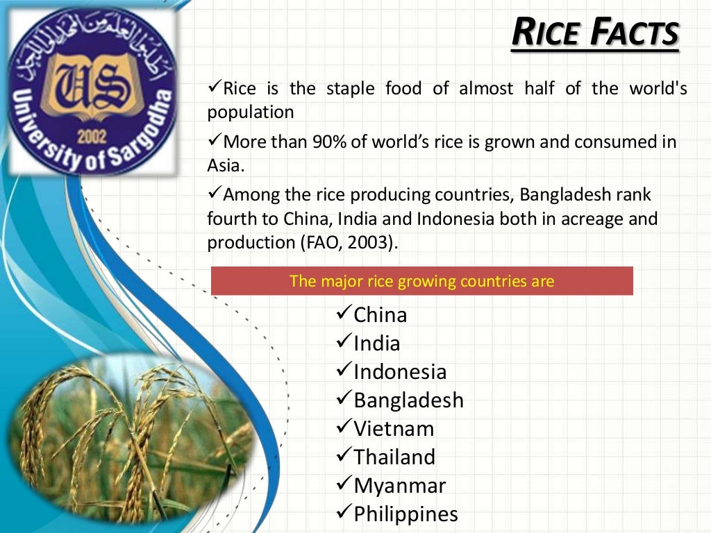 a historical review of bacterial blight of rice.