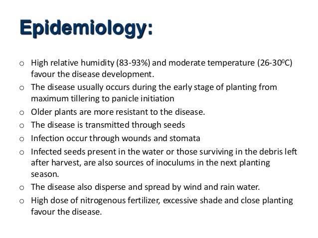 a historical review of bacterial blight of rice. a historical review of bacterial blight of rice.