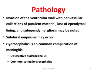 Pathology
• Invasion of the ventricular wall with perivascular
  collections of purulent material, loss of ependymal
  lining, and subependymal gliosis may be noted.
• Subdural empyema may occur.
• Hydrocephalus is an common complication of
  meningitis.
   – Obstructive hydrocephalus
   – Communicating hydrocephalus

                           Dr.T.V.Rao MD                20
 