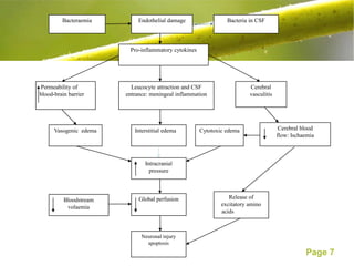 Bacteraemia         Endothelial damage                 Bacteria in CSF



                         Pro-inflammatory cytokines




Permeability of           Leucocyte attraction and CSF                   Cerebral
blood-brain barrier     entrance: meningeal inflammation                 vasculitis




      Vasogenic edema      Interstitial edema         Cytotoxic edema                  Cerebral blood
                                                                                      flow: Ischaemia



                               Intracranial
                                 pressure



          Bloodstream        Global perfusion                    Release of
           volaemia                                           excitatory amino
                                                              acidsaminoacids



                              Neuronal injury
                                apoptosis
                                                                                                 Page 7
 