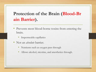 Protection of the Brain (Blood-Br
ain Barrier).
• Prevents most blood-borne toxins from entering the
brain.
• Impermeable capillaries
• Not an absolute barrier.
• Nutrients such as oxygen pass through
• Allows alcohol, nicotine, and anesthetics through.
 
