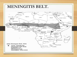 MENINGITIS BELT.
 