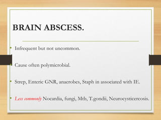 BRAIN ABSCESS.
• Infrequent but not uncommon.
• Cause often polymicrobial.
• Strep, Enteric GNR, anaerobes, Staph in associated with IE.
• Less commonly Nocardia, fungi, Mtb, T.gondii, Neurocysticercosis.
 
