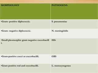 4.Gram stain/culture:
MORPHOLOGY PATHOGENS.
•Gram- positive diplococcic. S. pneumoniae
•Gram- negative diplococcic. N. meningitidis
•Small pleomorphic gram negative coccobacill
i.
Hib
•Gram-positive cocci or coccobacilli. GBS
•Gram positive rod and coccobacilli. L. monocytogenes
 