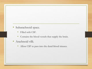 • Subarachnoid space.
• Filled with CSF.
• Contains the blood vessels that supply the brain.
• Arachnoid villi.
• Allow CSF to pass into the dural blood sinuses.
 
