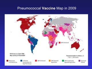 Pneumococcal Vaccine Map in 2009

 