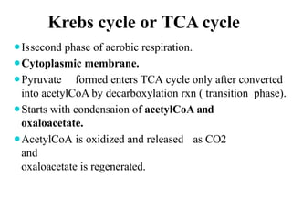 Tca Cycle Net Rxn Bacterial Metabolism. Power point presentation | PPTX