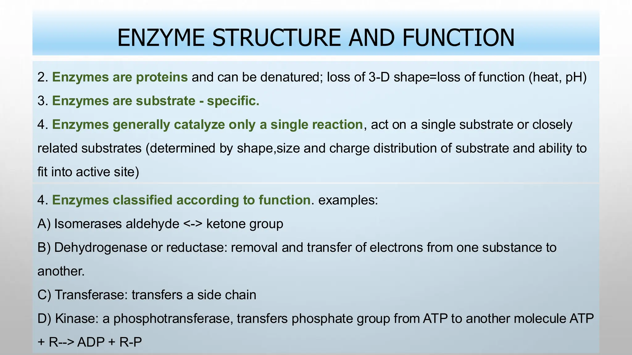 ENZYME STRUCTURE AND FUNCTION
2. Enzymes are proteins and can be denatured; loss of 3-D shape=loss of function (heat, pH)
3. Enzymes are substrate - specific.
4. Enzymes generally catalyze only a single reaction, act on a single substrate or closely
related substrates (determined by shape,size and charge distribution of substrate and ability to
fit into active site)
4. Enzymes classified according to function. examples:
A) Isomerases aldehyde <-> ketone group
B) Dehydrogenase or reductase: removal and transfer of electrons from one substance to
another.
C) Transferase: transfers a side chain
D) Kinase: a phosphotransferase, transfers phosphate group from ATP to another molecule ATP
+ R--> ADP + R-P
 