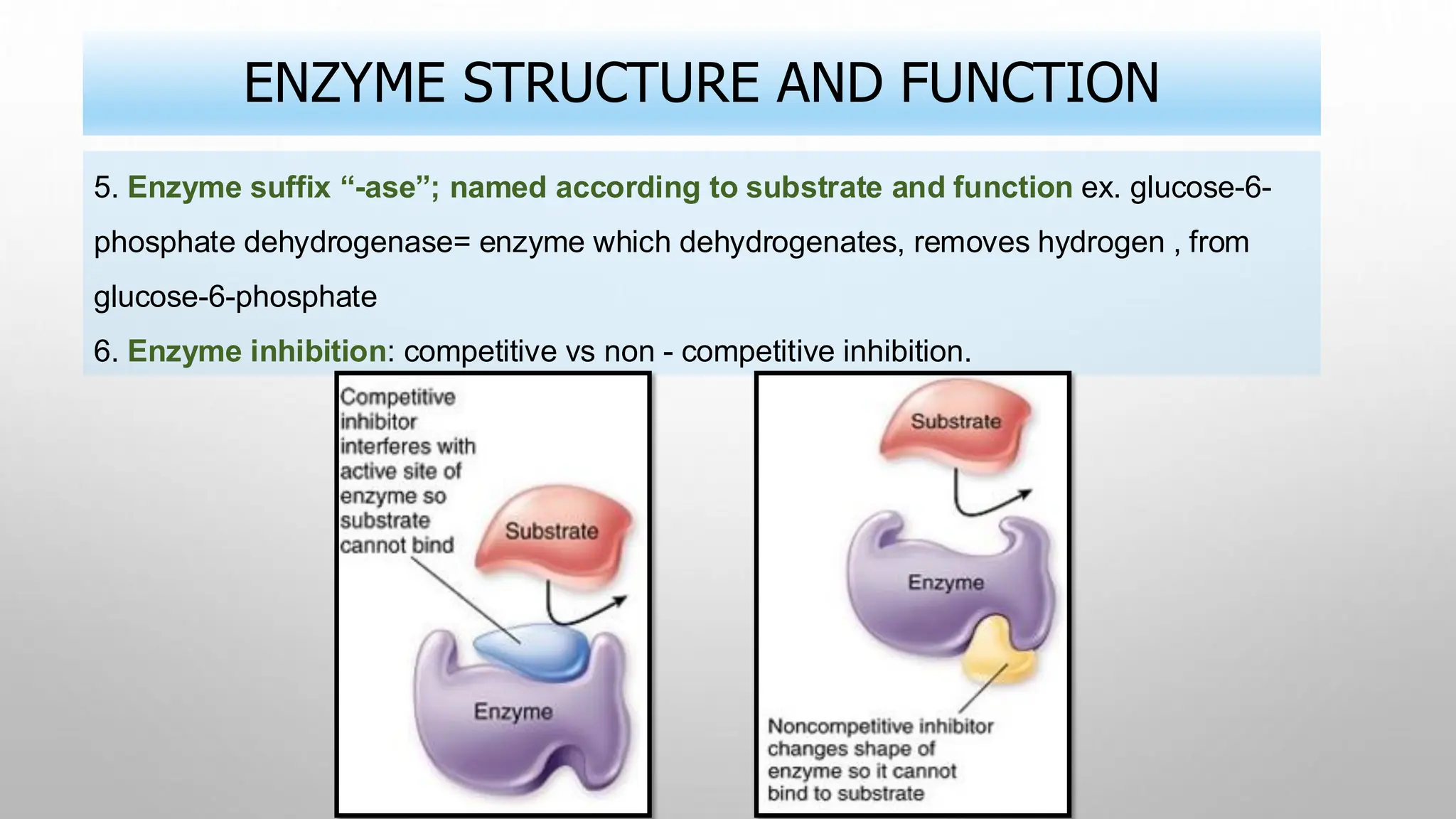 ENZYME STRUCTURE AND FUNCTION
5. Enzyme suffix “-ase”; named according to substrate and function ex. glucose-6-
phosphate dehydrogenase= enzyme which dehydrogenates, removes hydrogen , from
glucose-6-phosphate
6. Enzyme inhibition: competitive vs non - competitive inhibition.
 