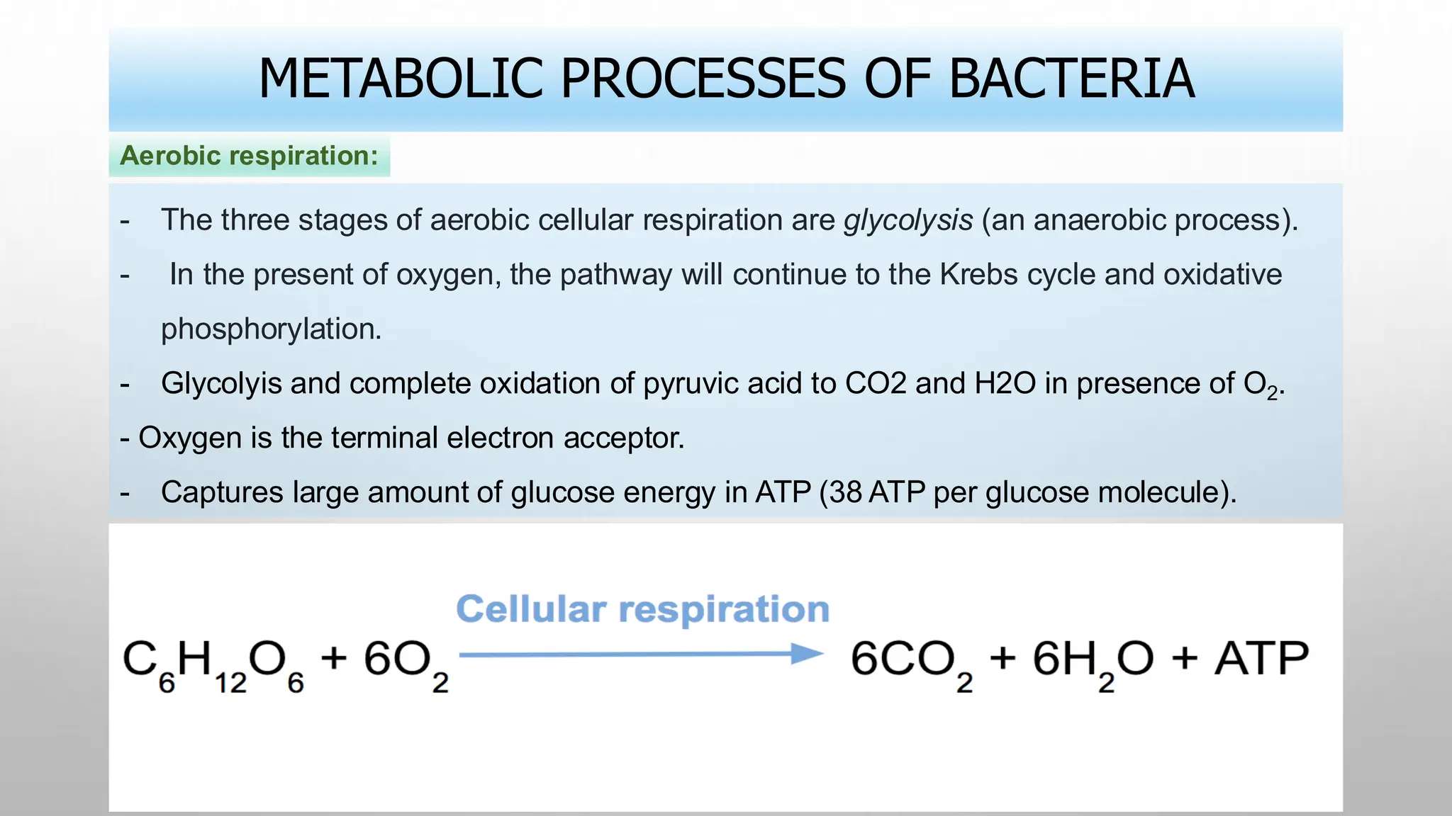 METABOLIC PROCESSES OF BACTERIA
- The three stages of aerobic cellular respiration are glycolysis (an anaerobic process).
- In the present of oxygen, the pathway will continue to the Krebs cycle and oxidative
phosphorylation.
- Glycolyis and complete oxidation of pyruvic acid to CO2 and H2O in presence of O2.
- Oxygen is the terminal electron acceptor.
- Captures large amount of glucose energy in ATP (38 ATP per glucose molecule).
Aerobic respiration:
 