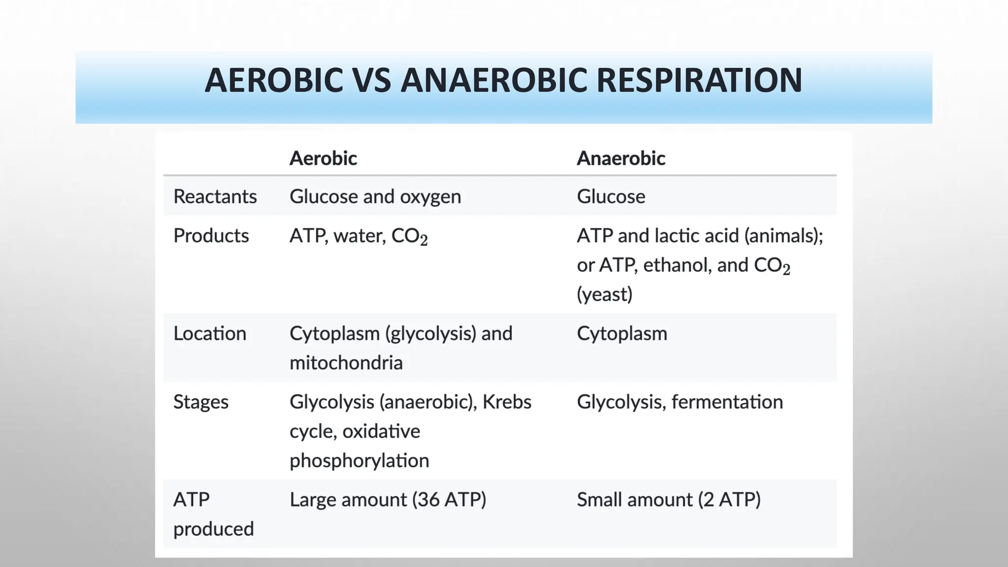 AEROBIC VS ANAEROBIC RESPIRATION
 