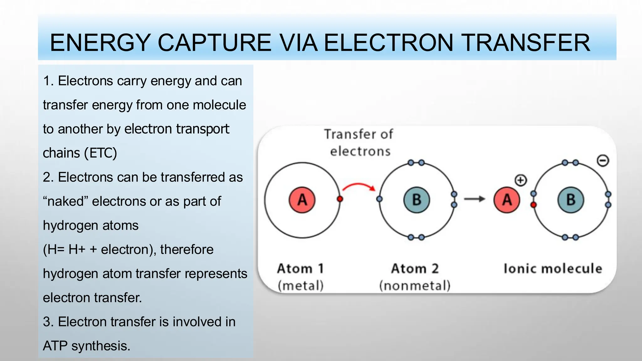 ENERGY CAPTURE VIA ELECTRON TRANSFER
1. Electrons carry energy and can
transfer energy from one molecule
to another by electron transport
chains (ETC)
2. Electrons can be transferred as
“naked” electrons or as part of
hydrogen atoms
(H= H+ + electron), therefore
hydrogen atom transfer represents
electron transfer.
3. Electron transfer is involved in
ATP synthesis.
 