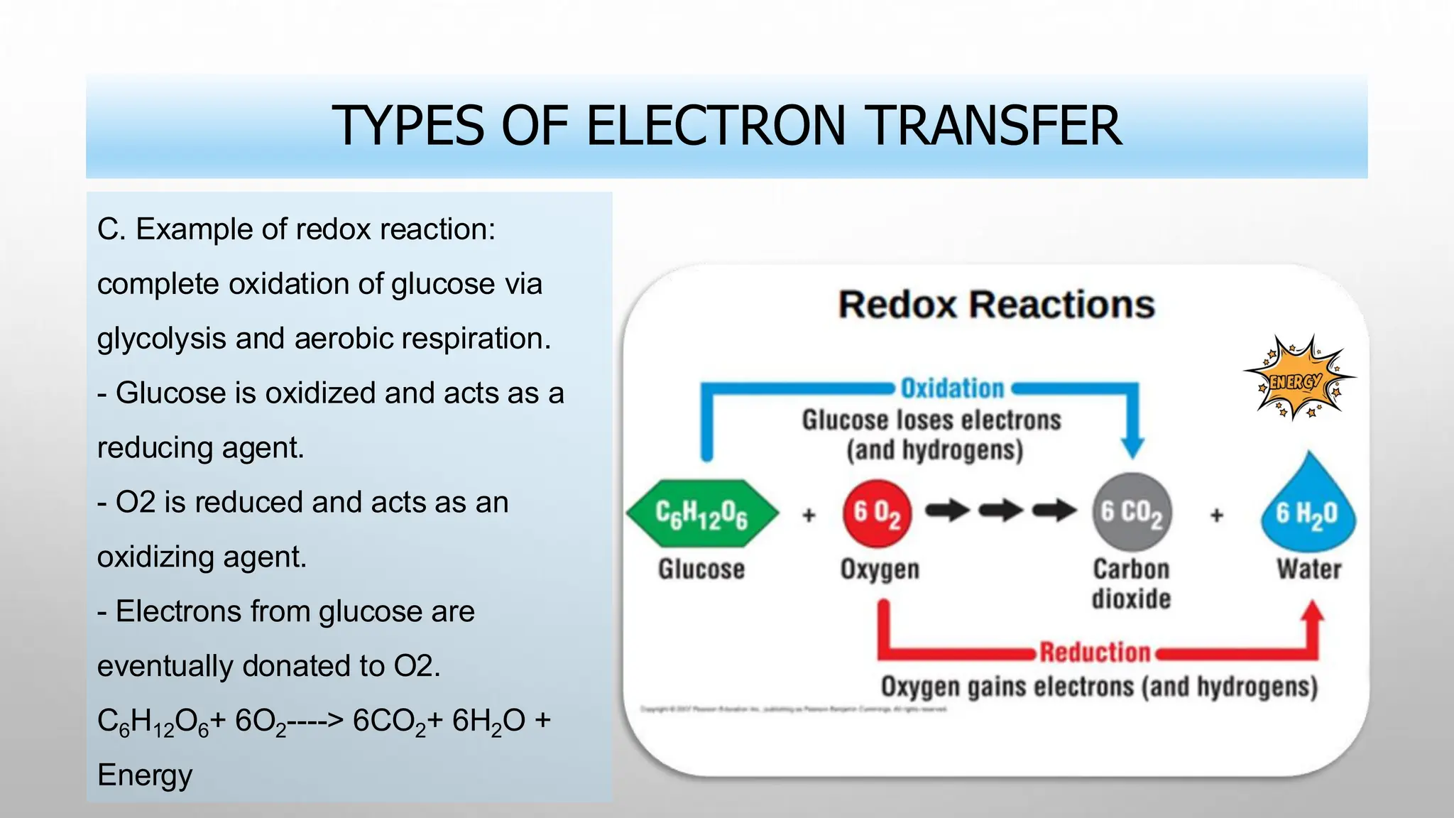 TYPES OF ELECTRON TRANSFER
C. Example of redox reaction:
complete oxidation of glucose via
glycolysis and aerobic respiration.
- Glucose is oxidized and acts as a
reducing agent.
- O2 is reduced and acts as an
oxidizing agent.
- Electrons from glucose are
eventually donated to O2.
C6H12O6+ 6O2----> 6CO2+ 6H2O +
Energy
 