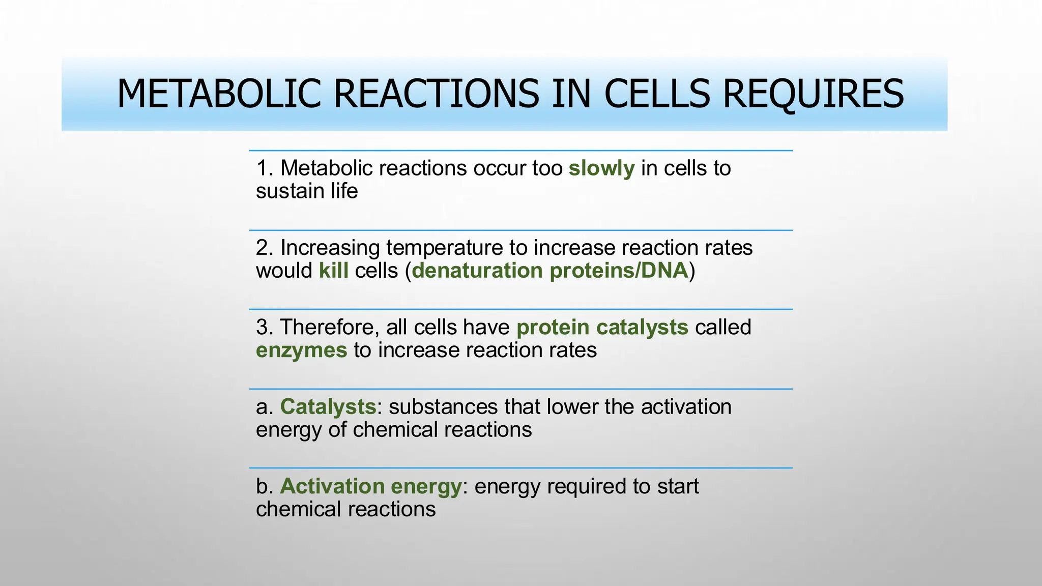 METABOLIC REACTIONS IN CELLS REQUIRES
1. Metabolic reactions occur too slowly in cells to
sustain life
2. Increasing temperature to increase reaction rates
would kill cells (denaturation proteins/DNA)
3. Therefore, all cells have protein catalysts called
enzymes to increase reaction rates
a. Catalysts: substances that lower the activation
energy of chemical reactions
b. Activation energy: energy required to start
chemical reactions
 