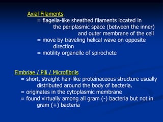 Bacterial Morphol and Ultrastructure.ppt