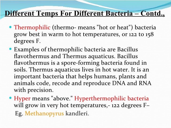 Bacterial morphology