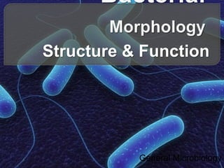 General Microbiology
Structure & Function
 