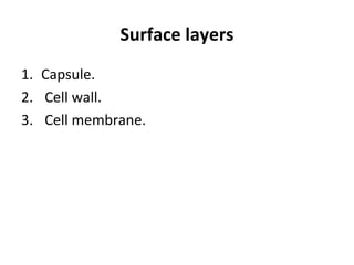 Surface layers
1. Capsule.
2. Cell wall.
3. Cell membrane.
 