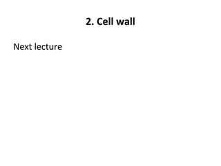 2. Cell wall
Next lecture
 