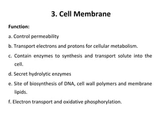 3. Cell Membrane
Function:
a. Control permeability
b. Transport electrons and protons for cellular metabolism.
c. Contain enzymes to synthesis and transport solute into the
cell.
d. Secret hydrolytic enzymes
e. Site of biosynthesis of DNA, cell wall polymers and membrane
lipids.
f. Electron transport and oxidative phosphorylation.
 