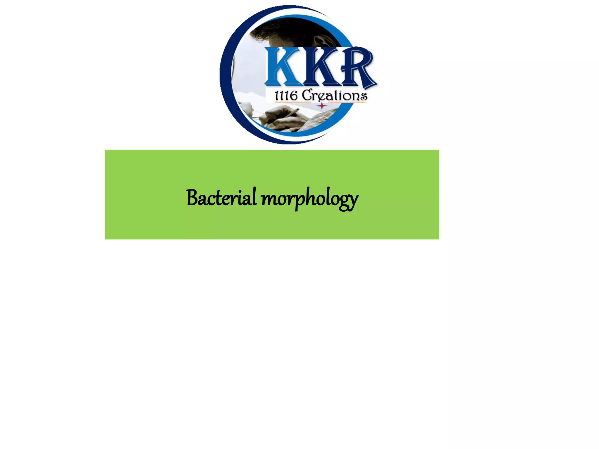 Bacterial morphology gliding and fruiting bacteria PPT