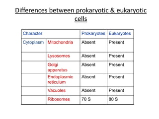 Differences between prokaryotic & eukaryotic
cells
Character Prokaryotes Eukaryotes
Cytoplasm Mitochondria Absent Present
Lysosomes Absent Present
Golgi
apparatus
Absent Present
Endoplasmic
reticulum
Absent Present
Vacuoles Absent Present
Ribosomes 70 S 80 S
 