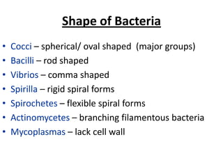 Bacterial morphology & anatomy | PPSX