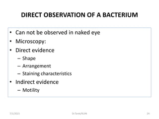DIRECT OBSERVATION OF A BACTERIUM
• Can not be observed in naked eye
• Microscopy:
• Direct evidence
– Shape
– Arrangement
– Staining characteristics
• Indirect evidence
– Motility
7/1/2015 24Dr.Tarek/KUIN
 