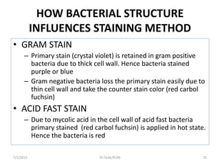 HOW BACTERIAL STRUCTURE
INFLUENCES STAINING METHOD
• GRAM STAIN
– Primary stain (crystal violet) is retained in gram positive
bacteria due to thick cell wall. Hence bacteria stained
purple or blue
– Gram negative bacteria loss the primary stain easily due to
thin cell wall and take the counter stain color (red carbol
fuchsin)
• ACID FAST STAIN
– Due to mycolic acid in the cell wall of acid fast bacteria
primary stained (red carbol fuchsin) is applied in hot state.
Hence the bacteria is red
7/1/2015 25Dr.Tarek/KUIN
 
