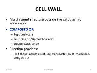 CELL WALL
• Multilayered structure outside the cytoplasmic
membrane
• COMPOSED OF:
– Peptidoglycans
– Teichoic acid/ lipoteichoic acid
– Lipopolysaccharide
• Function provides:
– cell shape, osmotic stability, transportation of molecules,
antigenicity
7/1/2015 6Dr.Tarek/KUIN
 
