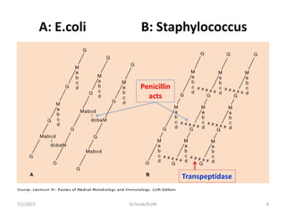 A: E.coli B: Staphylococcus
Penicillin
acts
Transpeptidase
7/1/2015 8Dr.Tarek/KUIN
 