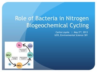 Role of Bacteria in Nitrogen
Biogeochemical Cycling
Carlos Loyola | May 2nd, 2013
UCR, Environmental Science 301
 