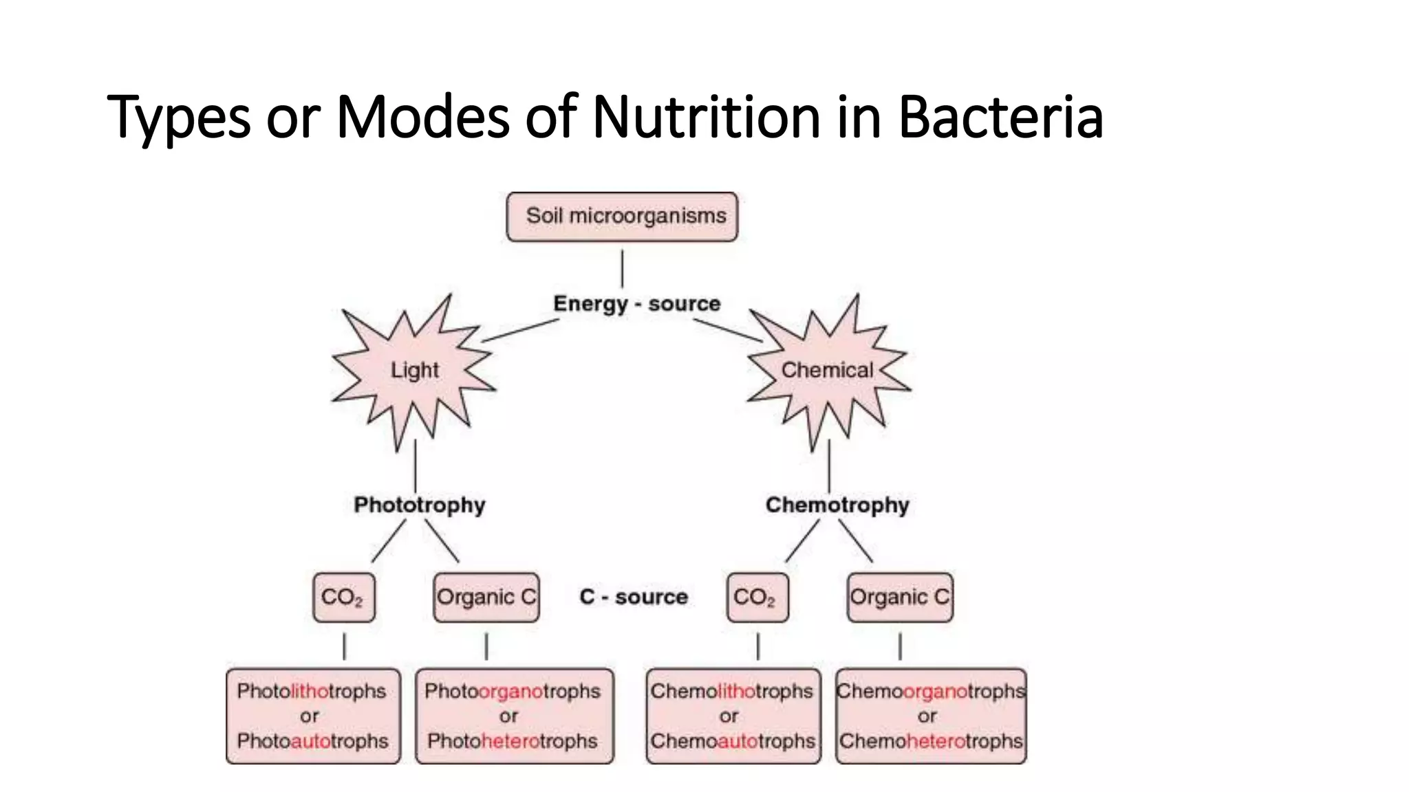 Bacterial nutritin.pptx